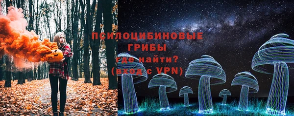 спиды Заволжск