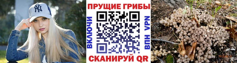 Псилоцибиновые грибы прущие грибы  Купить где  Искитим 